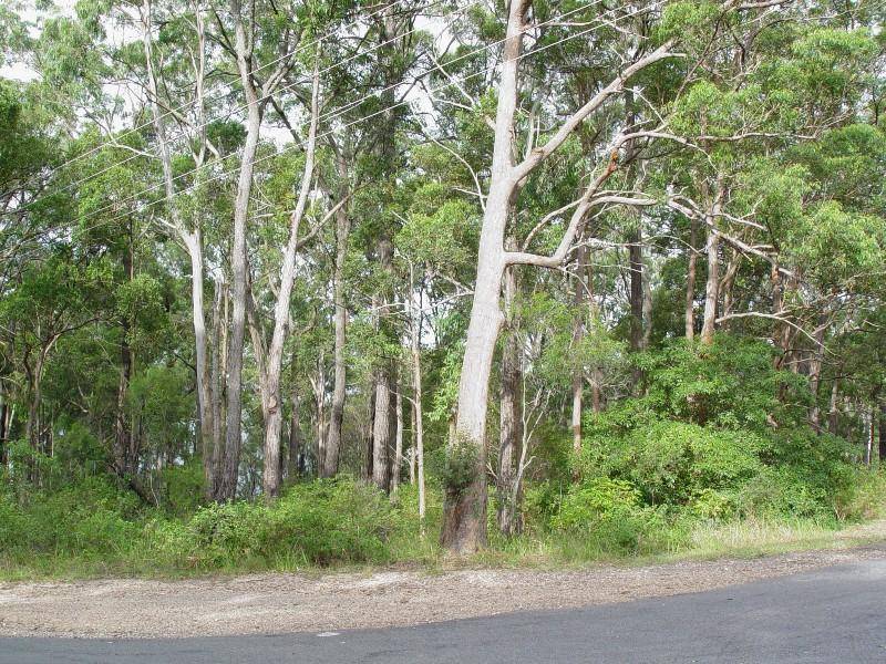 142 Cove Boulevard, North Arm Cove NSW 2324