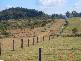 2 Town Hamilton, The Branch NSW 2425