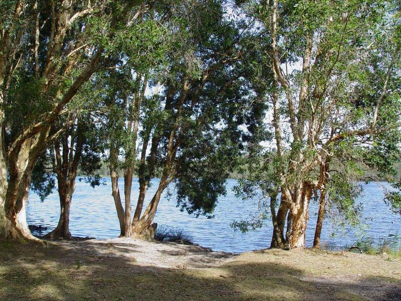 45 Curlew Crescent, Nerong NSW 2423