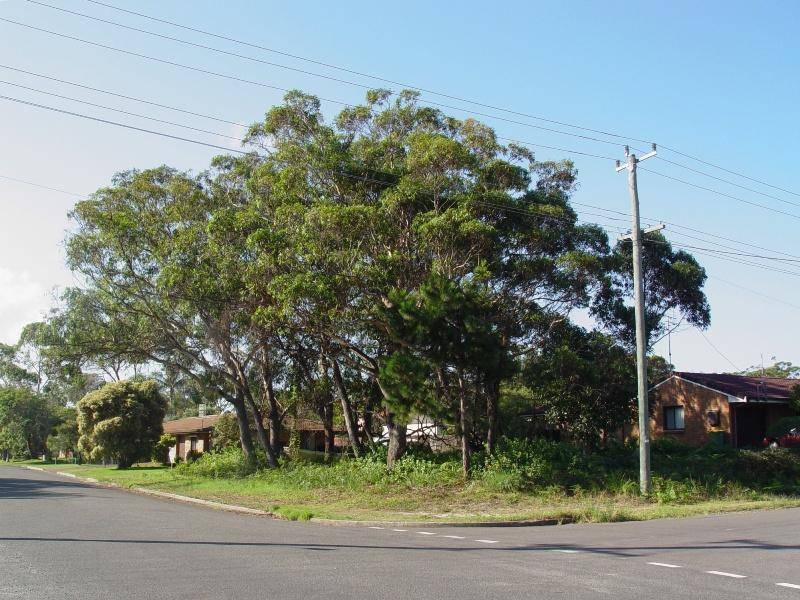 23 Mirreen Street, Hawks Nest NSW 2324