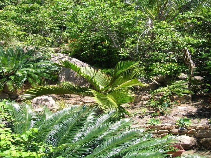 4 Opalia Court, Nelly Bay QLD 4819