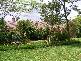 * Cowlong Road, Mcleans Ridges NSW 2480