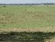 829 Rogerson Road, Mckees Hill NSW 2480