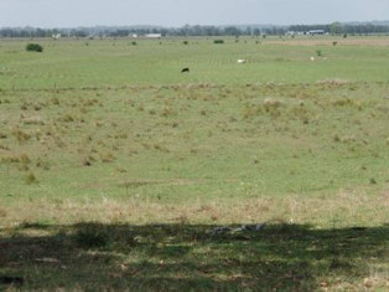829 Rogerson Road, Mckees Hill NSW 2480