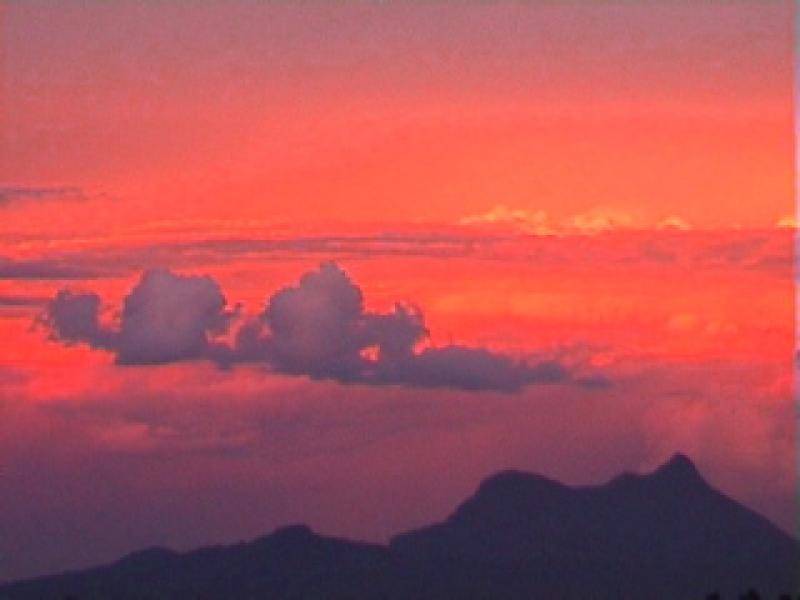 1163 Williams Road, Lillian Rock NSW 2480