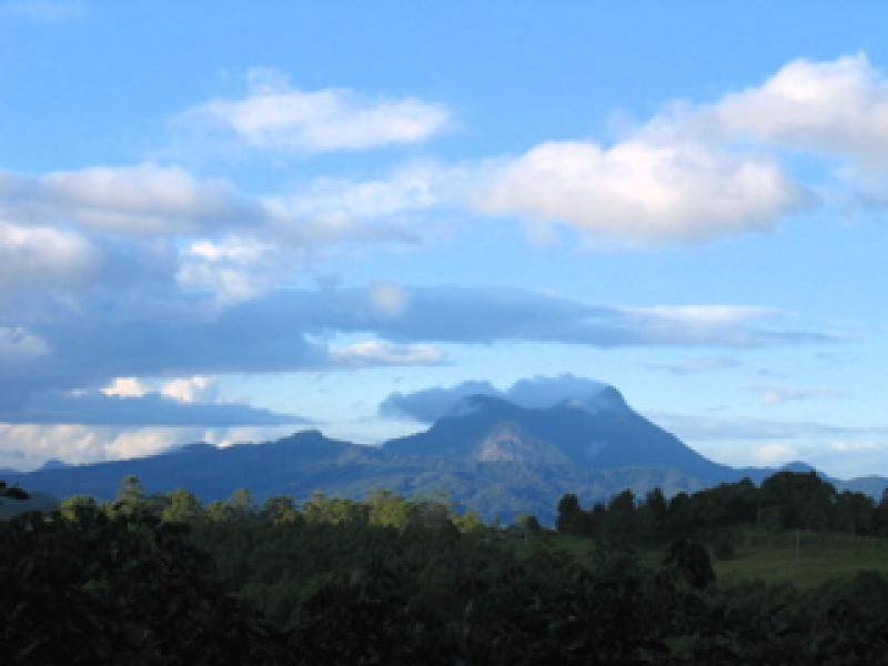 1163 Williams Road, Lillian Rock NSW 2480