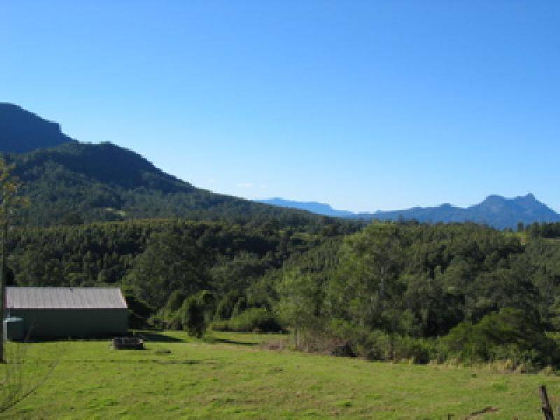 1163 Williams Road, Lillian Rock NSW 2480