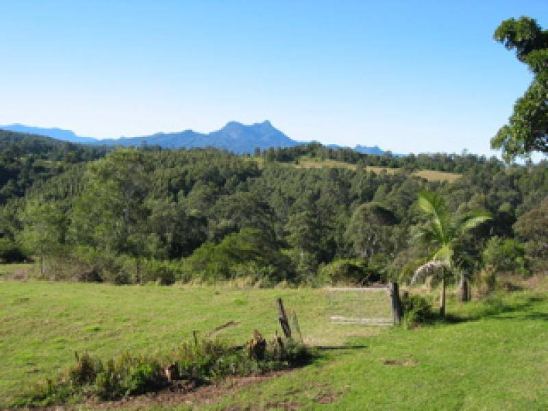 1163 Williams Road, Lillian Rock NSW 2480