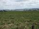 829 Rogerson Road, Mckees Hill NSW 2480