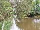 * Coraki Ellangowan Road, Coraki NSW 2471