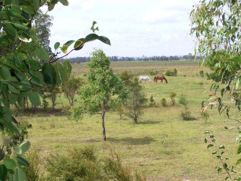 * Coraki Ellangowan Road, Coraki NSW 2471