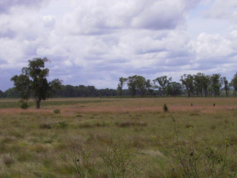 * Coraki Ellangowan Road, Coraki NSW 2471