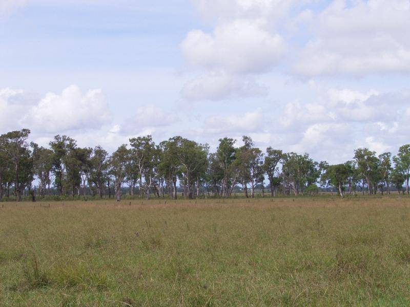 * Coraki Ellangowan Road, Coraki NSW 2471