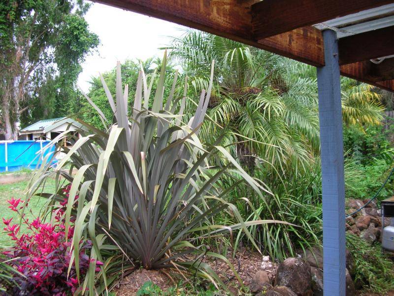 15 Cedar Drive, Dunoon NSW 2480