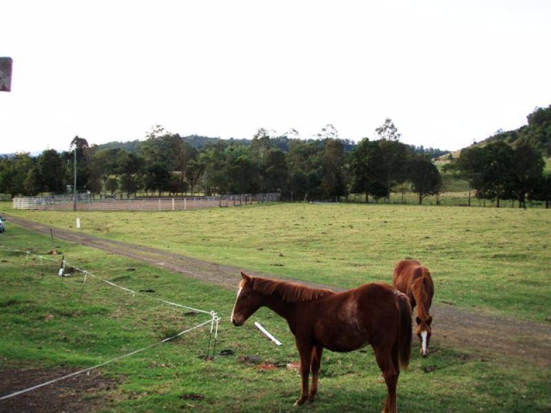 660 Keerrong Road, Keerrong NSW 2480