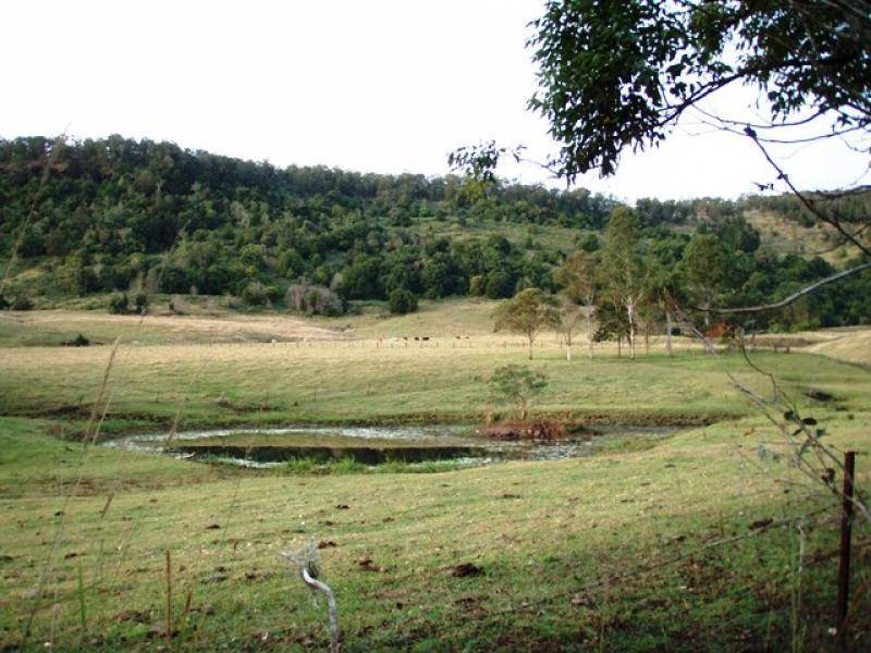 660 Keerrong Road, Keerrong NSW 2480