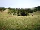 660 Keerrong Road, Keerrong NSW 2480