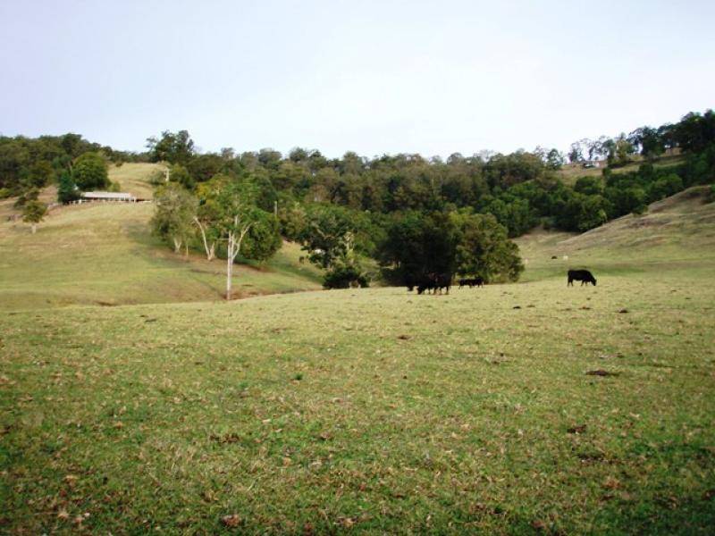 660 Keerrong Road, Keerrong NSW 2480
