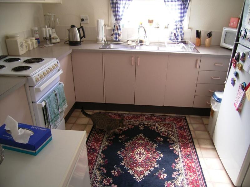 48 O’flynn Street, Lismore Heights NSW 2480