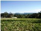 24 Highview Crescent, Modanville NSW 2480