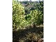 24 Highview Crescent, Modanville NSW 2480