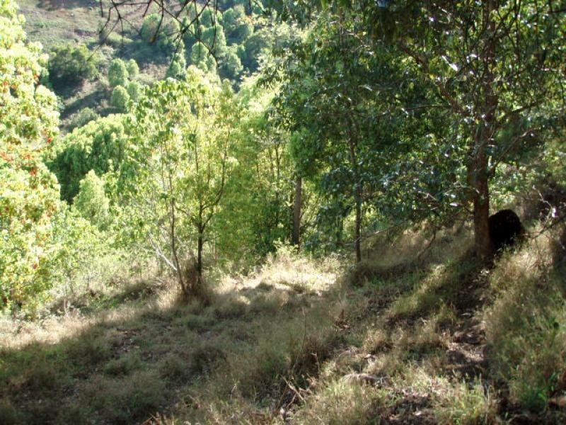 24 Highview Crescent, Modanville NSW 2480