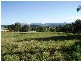 24 Highview Crescent, Modanville NSW 2480