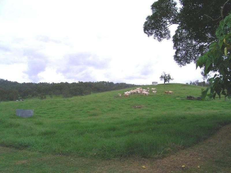 378 Dunns Road, Doubtful Creek NSW 2470
