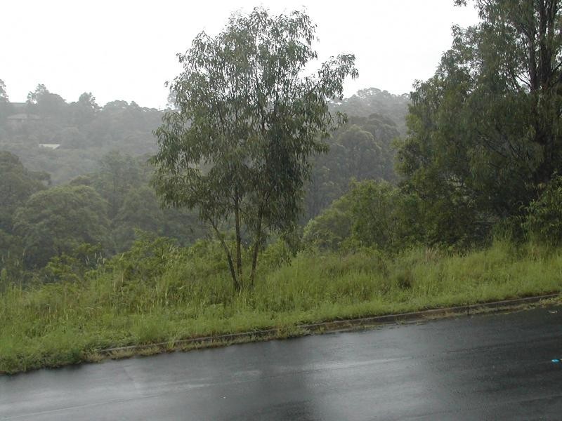 1 Ironbark Court, Goonellabah NSW 2480