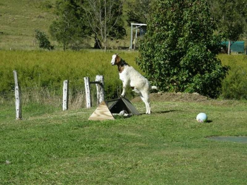 22 Donlon Road, Monaltrie NSW 2480