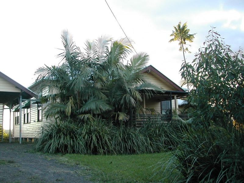 297 Duncan Road, Numulgi NSW 2480