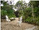 2003 Emu Park Road, Tungamull QLD 4702