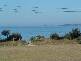 29 Ocean Drive, Merimbula NSW 2548