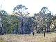 lot 437 Limousin Drive, Lochiel NSW 2549