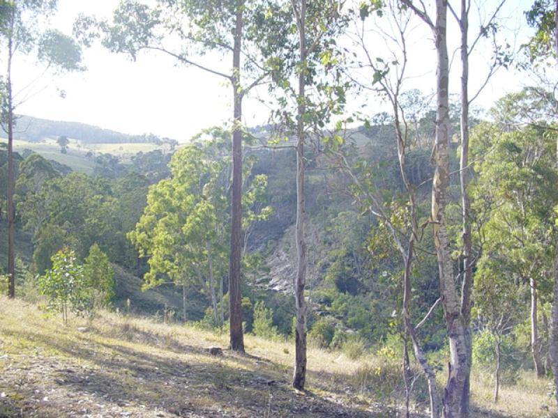 lot 437 Limousin Drive, Lochiel NSW 2549