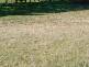 402 & 403 South Wolumla Road, Wolumla NSW 2550