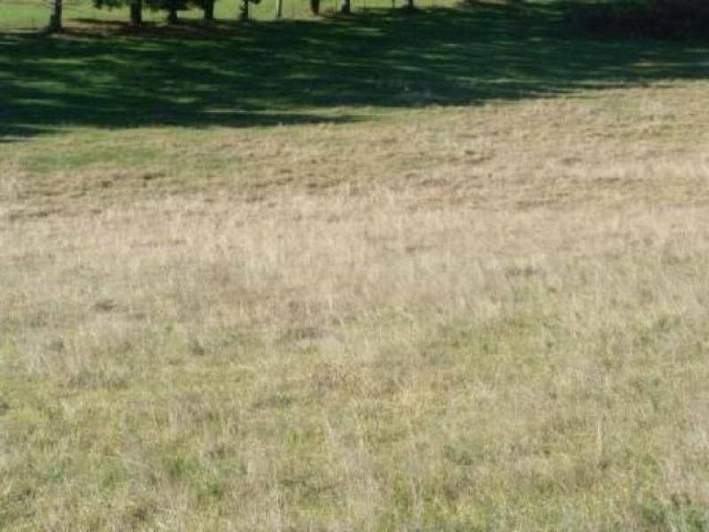 402 & 403 South Wolumla Road, Wolumla NSW 2550