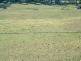 402 & 403 South Wolumla Road, Wolumla NSW 2550