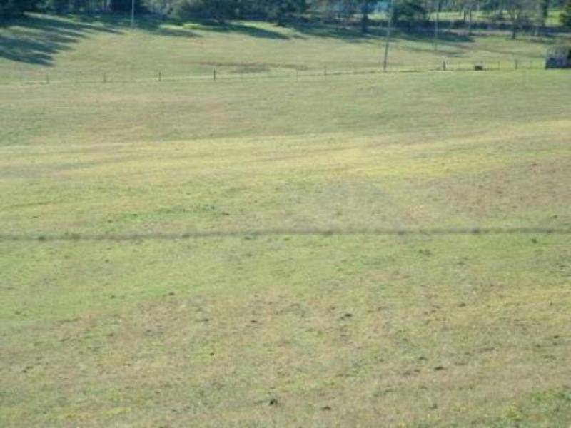 402 & 403 South Wolumla Road, Wolumla NSW 2550