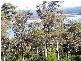 32 & 33 John Close, Merimbula NSW 2548