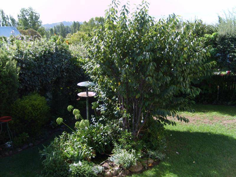 5 Heath Street, Bega NSW 2550