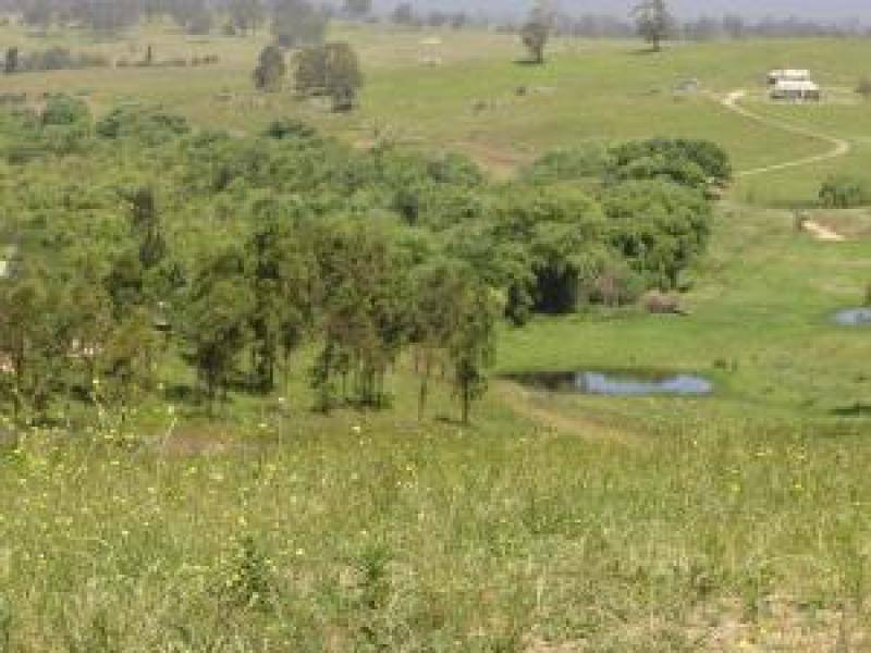 Lot 3 Brianderry Road, Bega NSW 2550