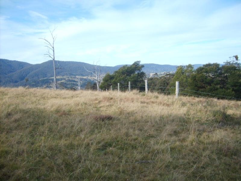Lots H,I,F Newpark Road, Brogo NSW 2550