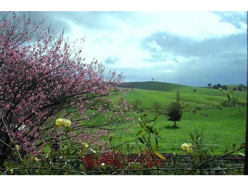 906 Candelo Wolumla Road, Merimbula NSW 2548