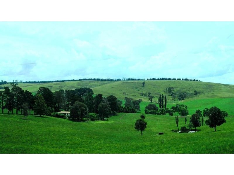 906 Candelo Wolumla Road, Wolumla NSW 2550