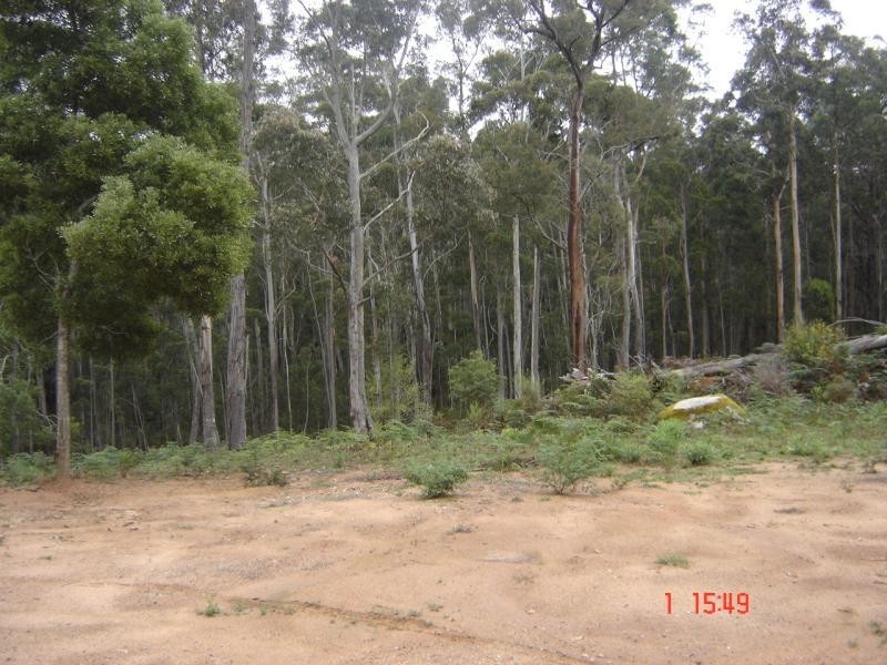 411 Kingfisher Road, Wyndham NSW 2550