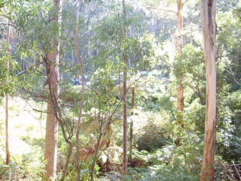Lot 2 Snowy Mountains Highway, Bemboka NSW 2550