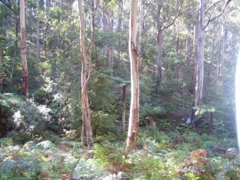 Lot 2 Snowy Mountains Highway, Bemboka NSW 2550