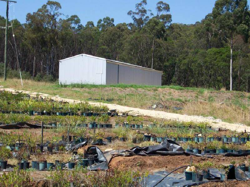 30 Florabunda Lane, Nethercote NSW 2549