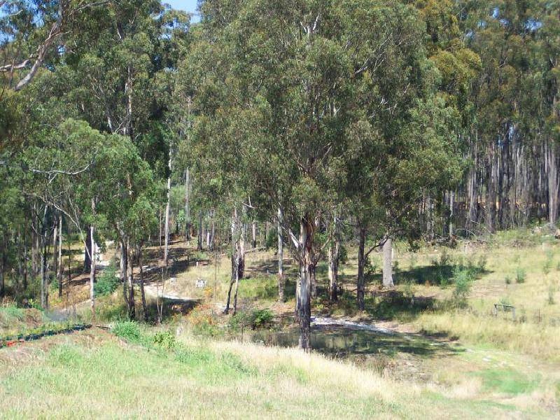 30 Florabunda Lane, Nethercote NSW 2549